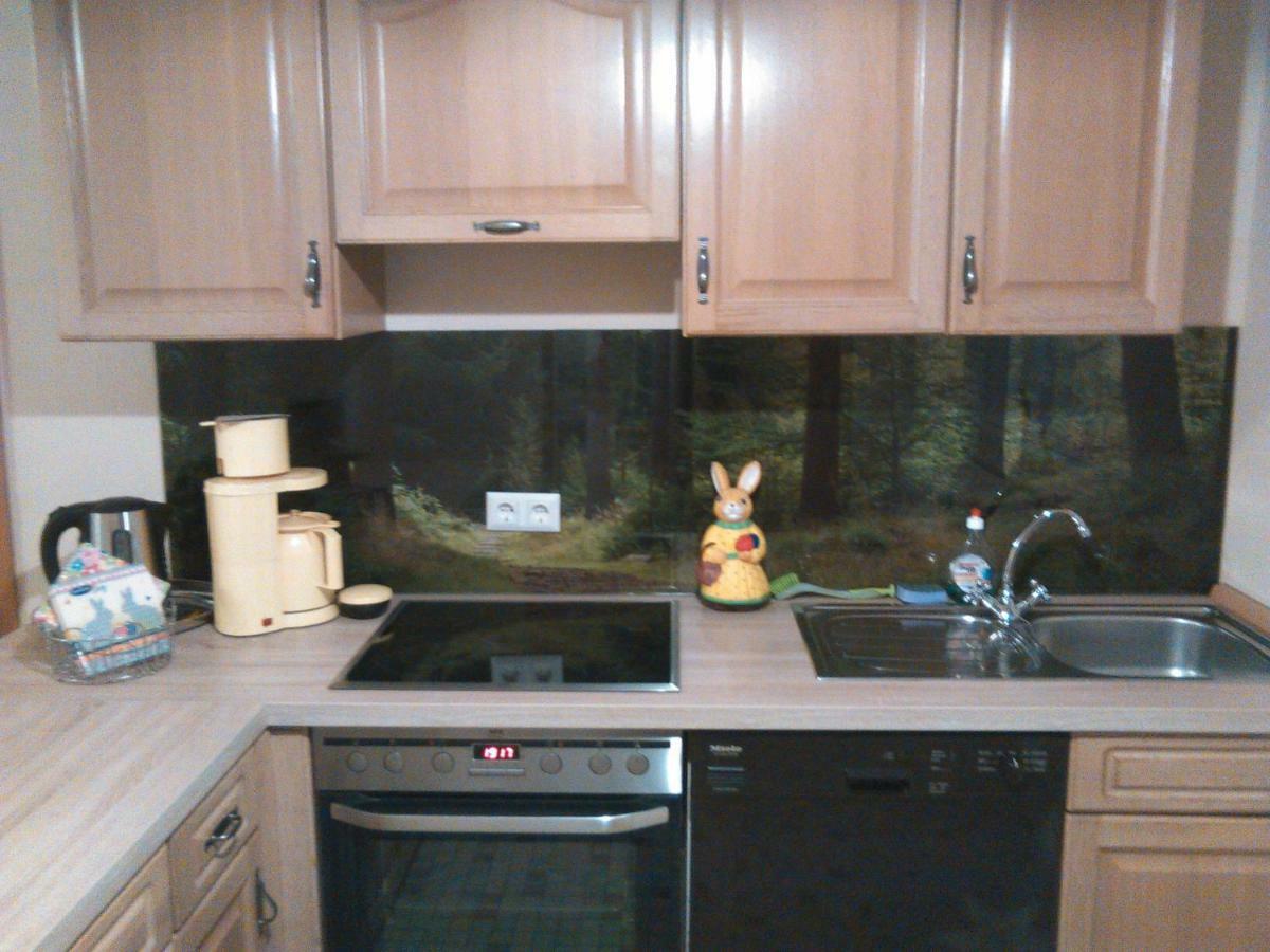 Mia Und Michel Im Sauerland Apartment บาด แบร์เลอบวร์ก ภายนอก รูปภาพ