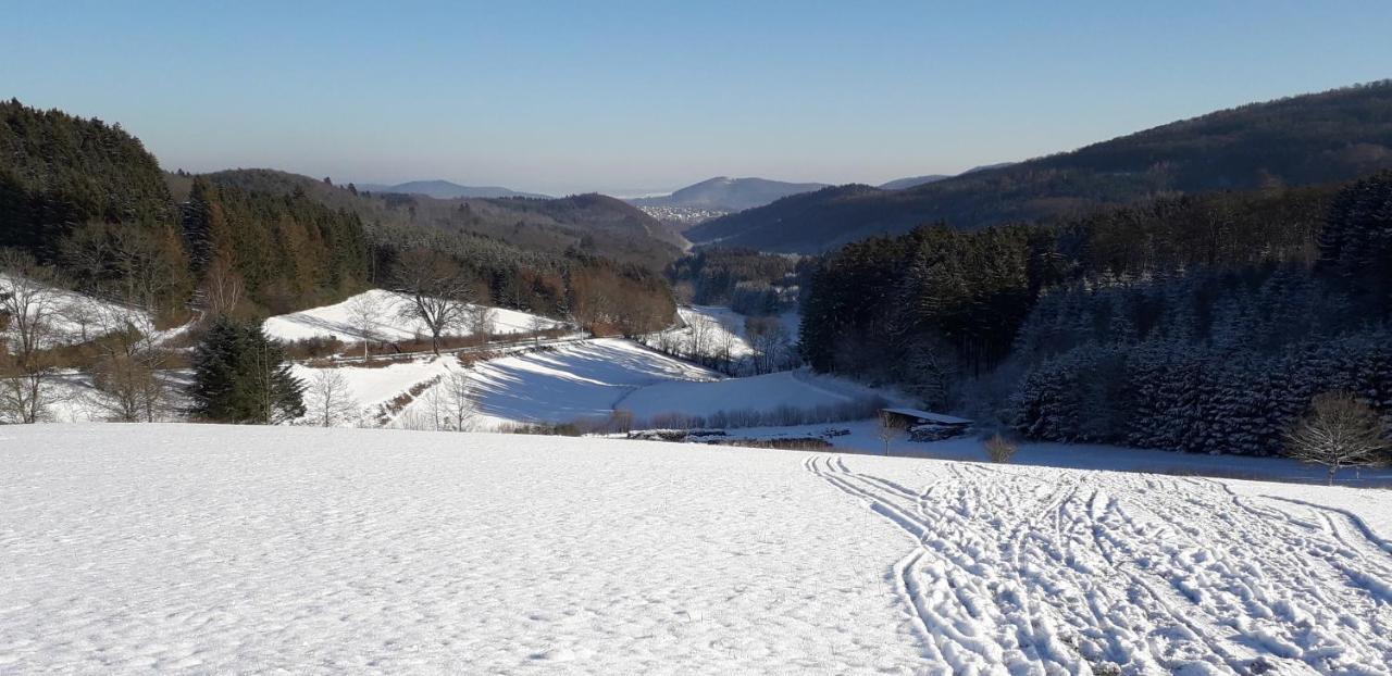 Mia Und Michel Im Sauerland Apartment บาด แบร์เลอบวร์ก ภายนอก รูปภาพ